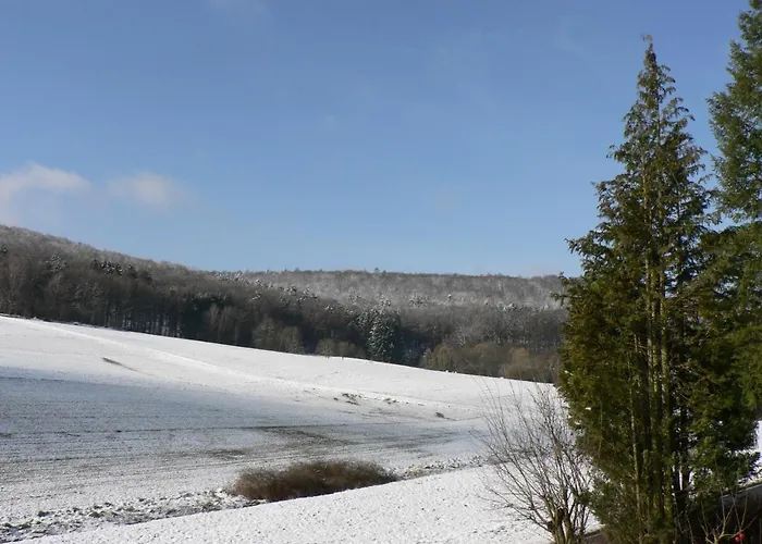Brands Apartment Ober-Nauses